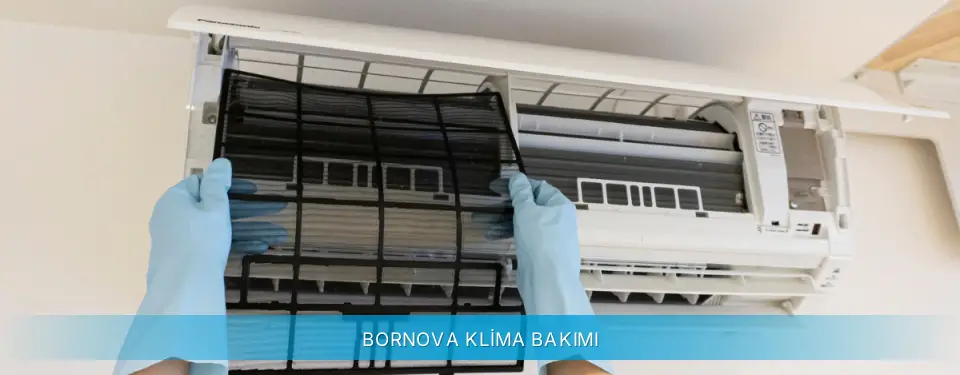 Bornova İlçemi Daikin Klima Bakımı