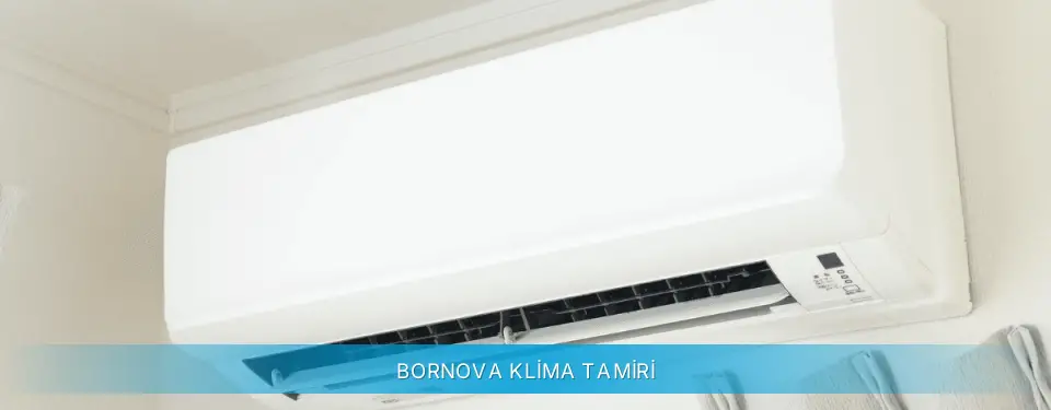 Bornova İlçemi Daikin Klima Tamiri